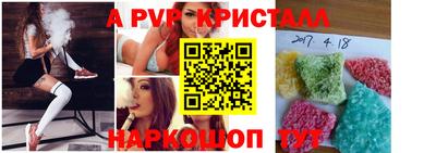 прущие грибы Кингисепп