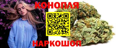 прущие грибы Кингисепп