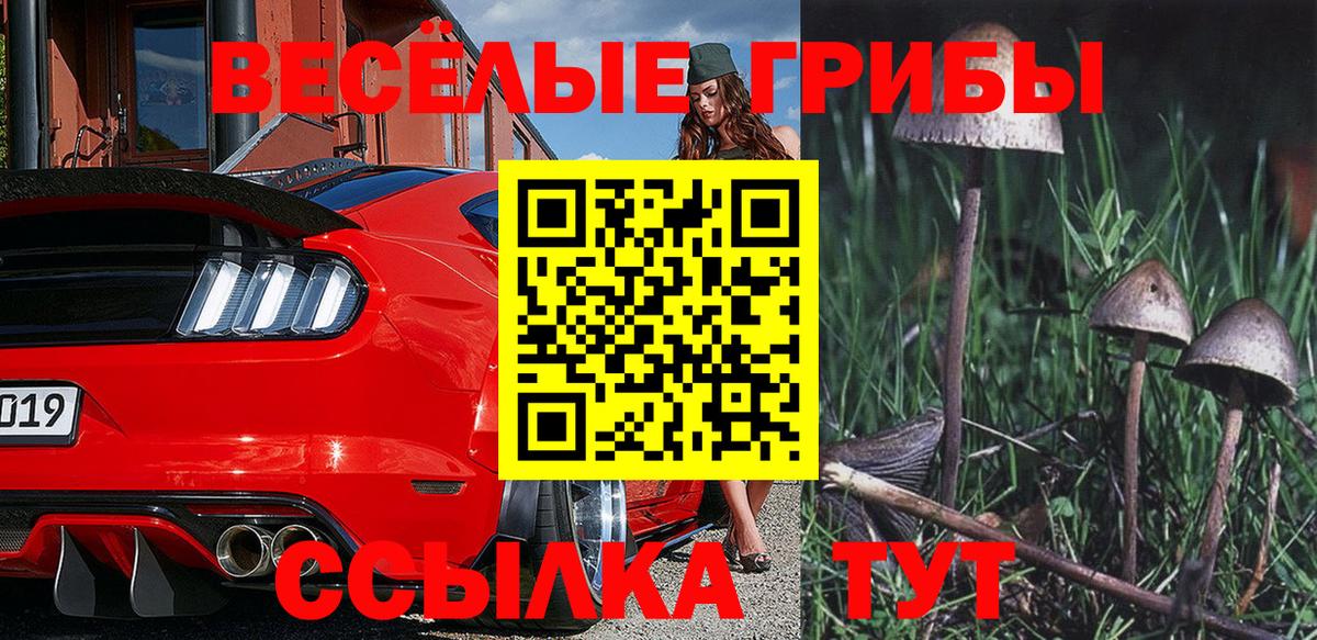 Галлюциногенные грибы мицелий  Кыштым 