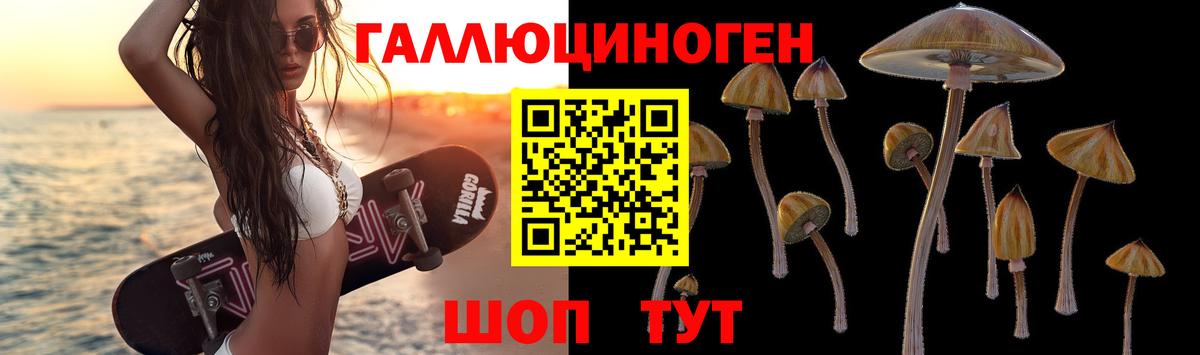 хочу наркоту  Псилоцибиновые грибы Cubensis  Вход с VPN  Кыштым 